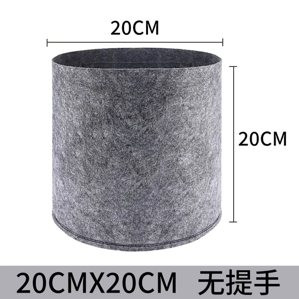 [Gray earless] 20 diameter 20 height