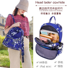 跨境休闲双肩包女士背包民族风印花布旅游时尚百搭潮流女学生书包