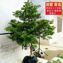 �����ɘ�����_�h��ȸ�����~ӭ�����Ϙ䘶ͥԺ�����辰���͘���N