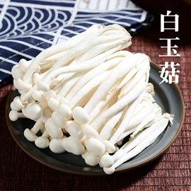 其他干货;蘑菇;牛肝菌