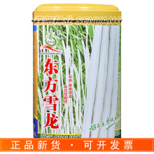 ���r���|��ѩ�������N�������ֱ�L�׶��Ǵ��＾�������������L��