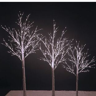 LED�羳 �ט��ʟ��l�����ט������g�b�������Ů�ľW�t��
