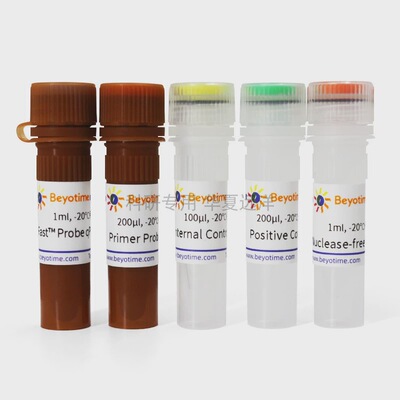 C0303S BeyoDirect&trade;支原体qPCR检测试剂盒 100次