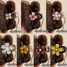 �nϵ����A�^�l�A��Ů�P�l�l��2026�¿��̖�l����߼��о���ץ�A