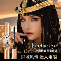 DMDN異域風情纖翹睫毛膏帶鏡子濃密卷翹睫毛膏持久防水防暈染跨境