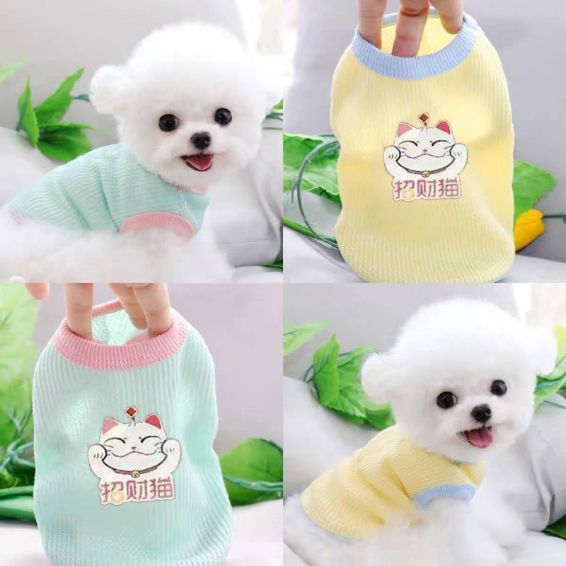 小狗狗猫咪衣服秋夏薄款比熊法斗网红宠物柯基泰迪博美小型犬幼犬