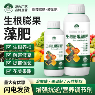 �S�Ҷ�����������I�BҺ��I�B���㽶��ݮâ���Ϲ��߲˷��Ͻ���