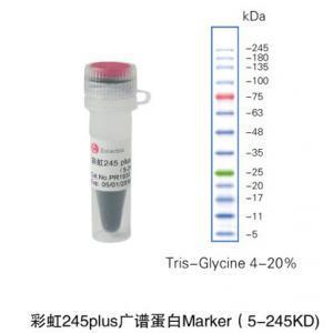 PR1930 彩虹245plus广谱蛋白Marker（5-245KD) 三色预染 科研用