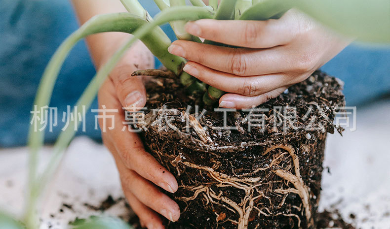 花肥详情页_11.jpg