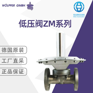 Woelpper/IDAG �͉��yZMϵ�� ��ԭ�b