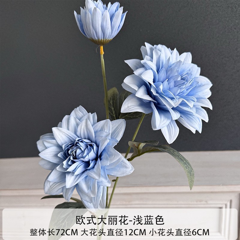 다알리아