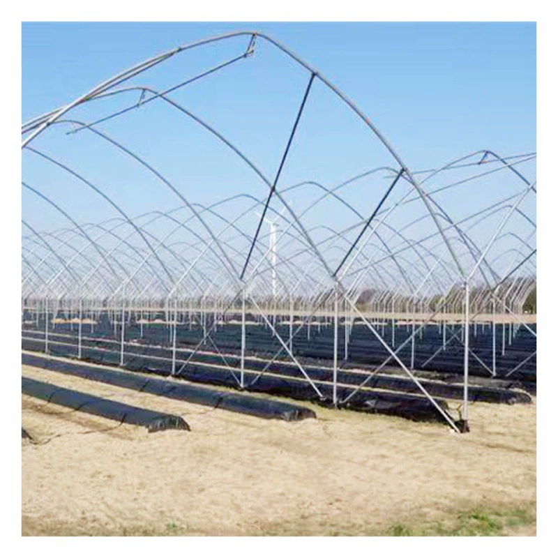 Навес фруктовое дерево Солнечная теплица сельскохозяйственный сарай разведение теплица клубника Черничный сарай цельная теплица
