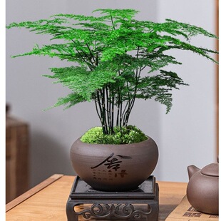 ��������ֲ���҃Ȼ����辰�Ӽҿ͏d�k���ҾGֲ���B������ļ�����