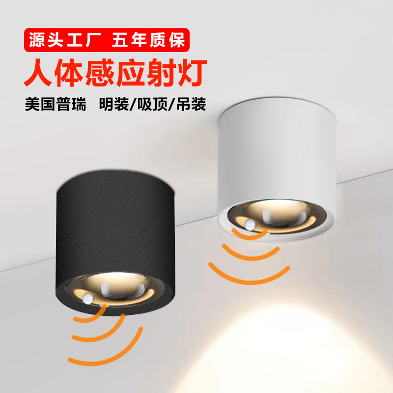 Led abierto-montado proyector de inducción del cuerpo humano cob infrarrojos casa sala de estar lámpara de techo escalera lámpara de inducción de techo al por mayor