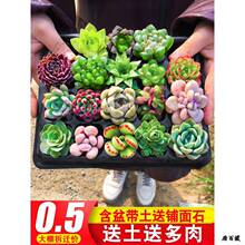 ����ֲ��M�������҃��ײ��؃r���B���w������}���莧���Ϙ����^