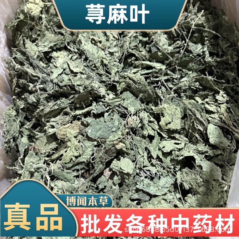 New Arrival of Nettle Leaf Chinese Medicinal Materials, Nettle Grass, Nettle Leaves, Nettle Root, Sting Grass, Chinese Medicinal Materials Wholesale with Free Shipping