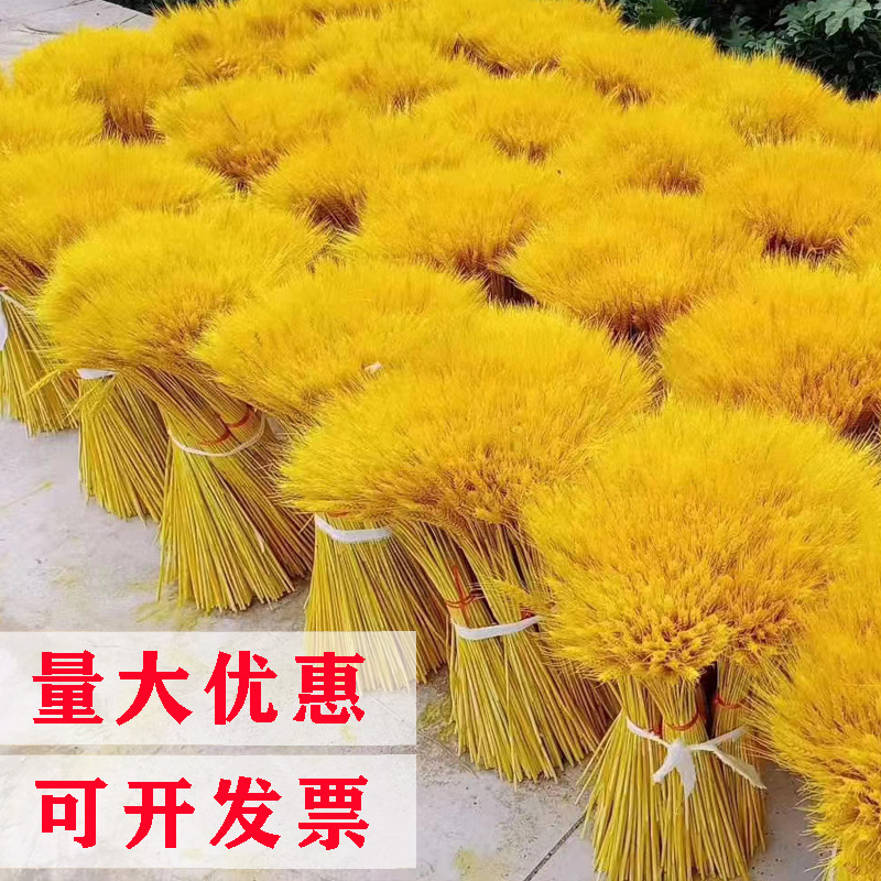 Wholesale barley wheat ear dried flower decoration natural wheat ear bouquet photography props golden yellow dried flower barley ear