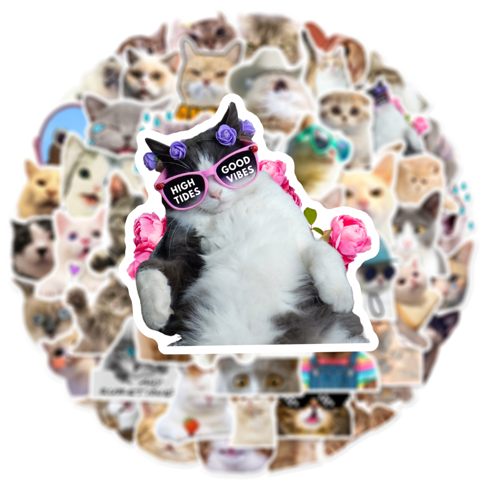 1 Jeu Chat L'obtention Du Diplôme Pvc Style Simple Autocollants display picture 6