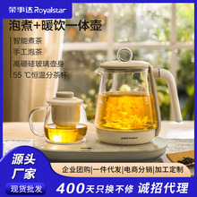 荣事达养生壶双壶套装多功能煮茶器办公室小型迷你茶壶YSH10-T16A