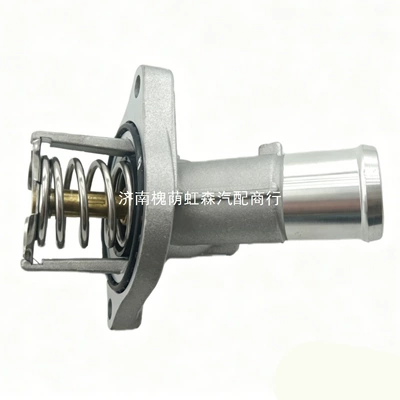 12651603 25201447 Is Thermostat