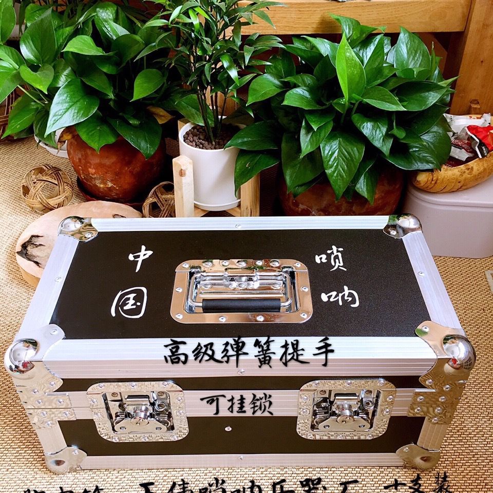 A suona horn case Box aluminium alloy case A suona horn Musical box Erhu fiddle Electronic organ case A suona horn