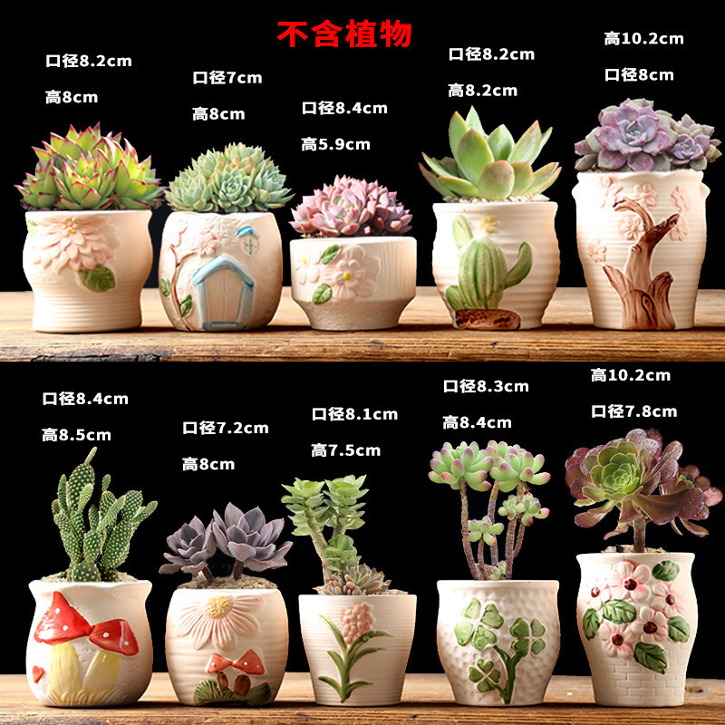 多肉花盆大量批发陶瓷植物粗陶复古素烧紫砂创意大小口径简约跨境|undefined