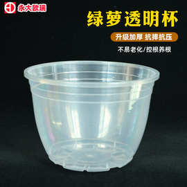 水养绿萝杯自动吸水外盆透明植物懒人塑料花盆水培种植储水花盆