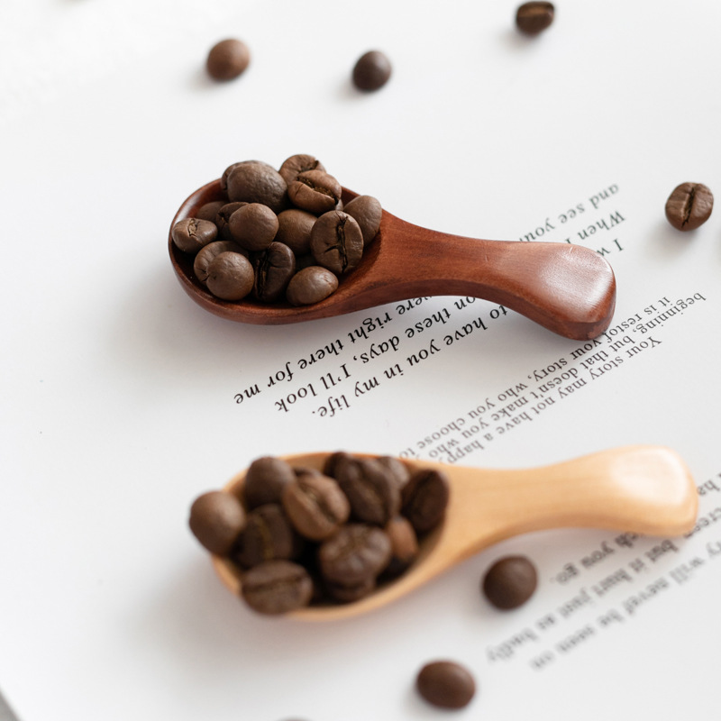 Cuchara de matcha de madera maciza de estilo japonés leche en polvo cuchara de madera pequeña cuchara de medición café en polvo cuchara de mezcla cuchara japonesa cuchara de condimento