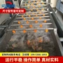气泡自动叶类提升式洗菜机