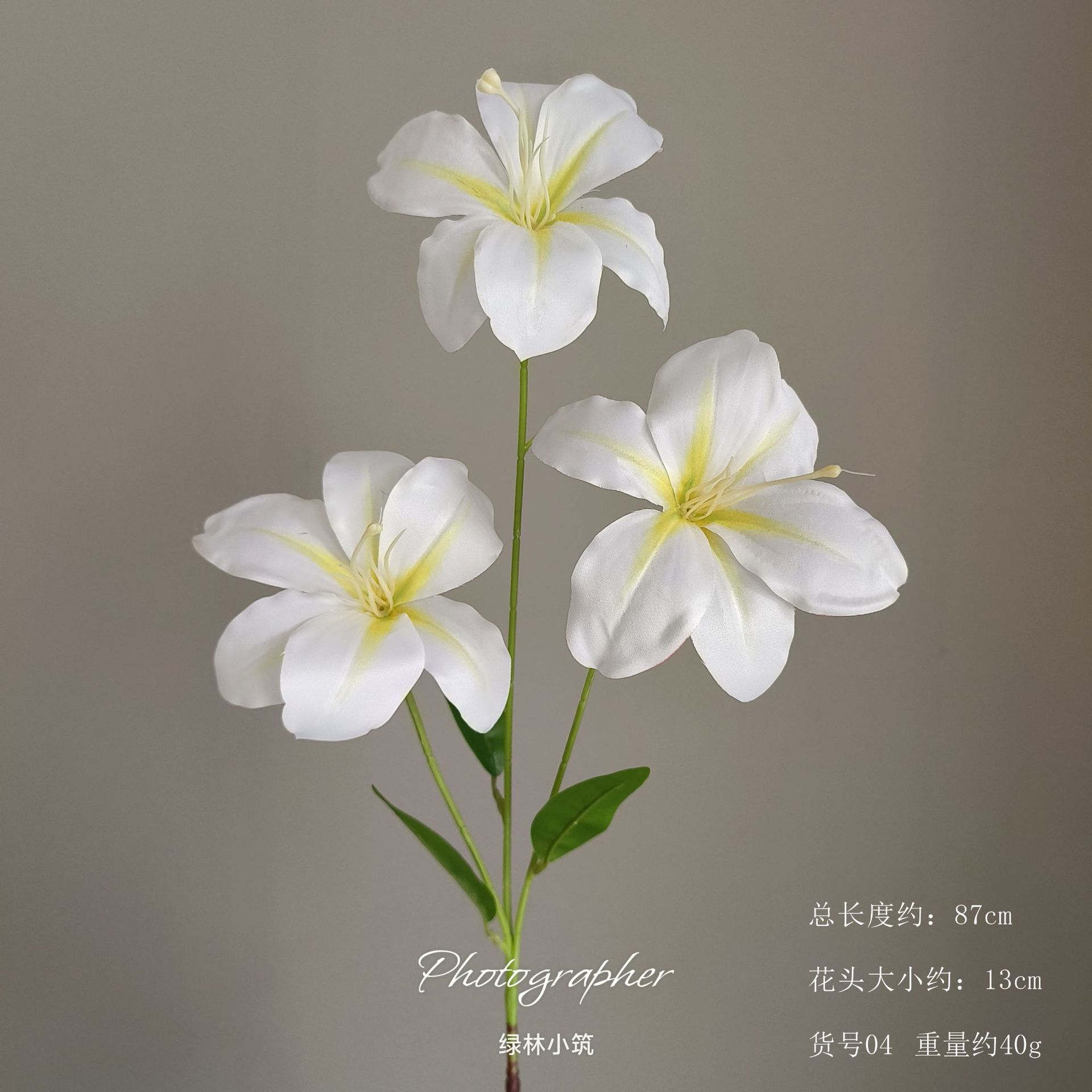 품목번호 04-Hemerocallis lily