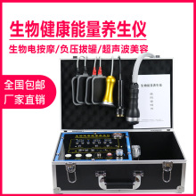 养生馆美容院专供按摩仪DDS电疗电疗仪器家用生物电多用途酸碱平