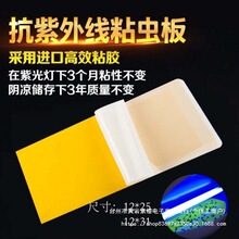 捕纸灭蚊纸专用粘纸粘捕式灭蚊灯粘贴粘苍蝇纸沾蝇板粘苍蝇垒德株