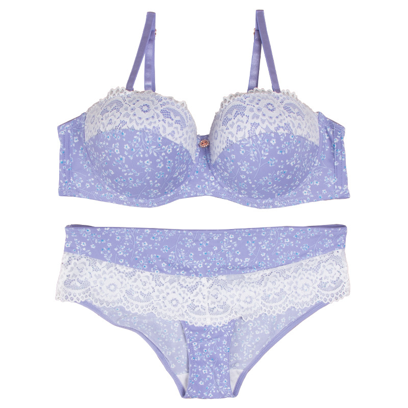 Europa y América comercio exterior ropa interior de encaje sexy, impresión de nylon transpirable, secado rápido, pecho pequeño, conjunto de sujetadores de damas.