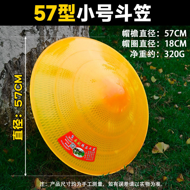 sombrero de plástico sombrero image 8