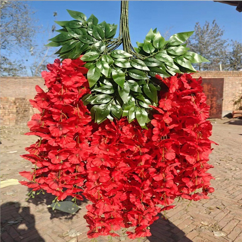 Temy 콩 꽃-빅 레드