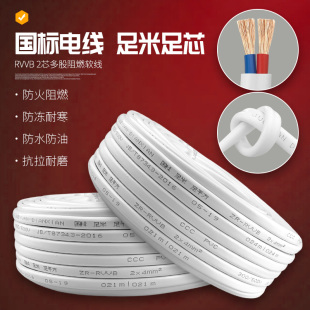 National Standard Two-Core Sheathed Wire 1.5 2.5 4 6 Square Waterproof and Antifreeze Wire Soft Wire 100m Power Cable