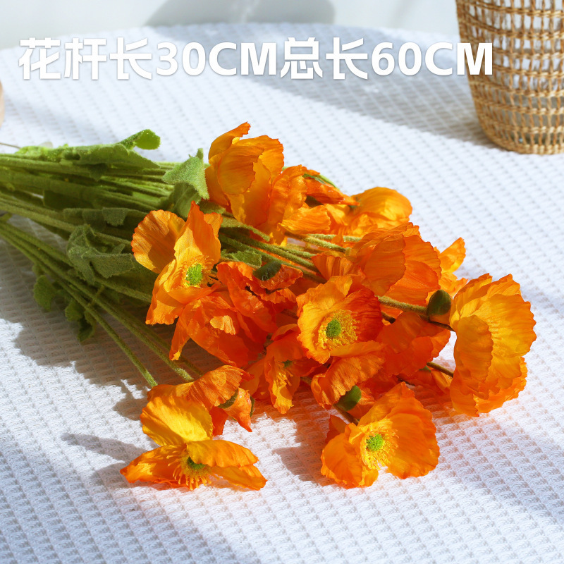 小红书推荐INS风蛋糕拍照道具 周边氛围背景墙装饰品摆拍摄影饰品|undefined