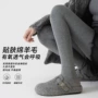新款春夏薄款百搭打底袜