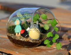 DIY Creative Moss Micro Landscape Ecosystem Bottle, Cannon-Shaped Mouth, Succulent Plant Vase, Crystal Clear Decorative Accessory