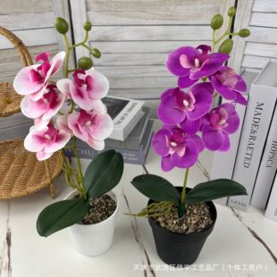 ����PU�ָ�3D�z�������m5�^��������m��Y�ò����bٻ����l