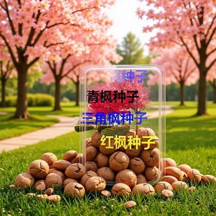 �²������t���N�������N���ձ��t����N���S����N��������