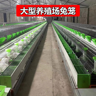 �����Bֳ���Ԅӻ��û\����\�z��ĸ�û\�Ԅӻ\����S�O��