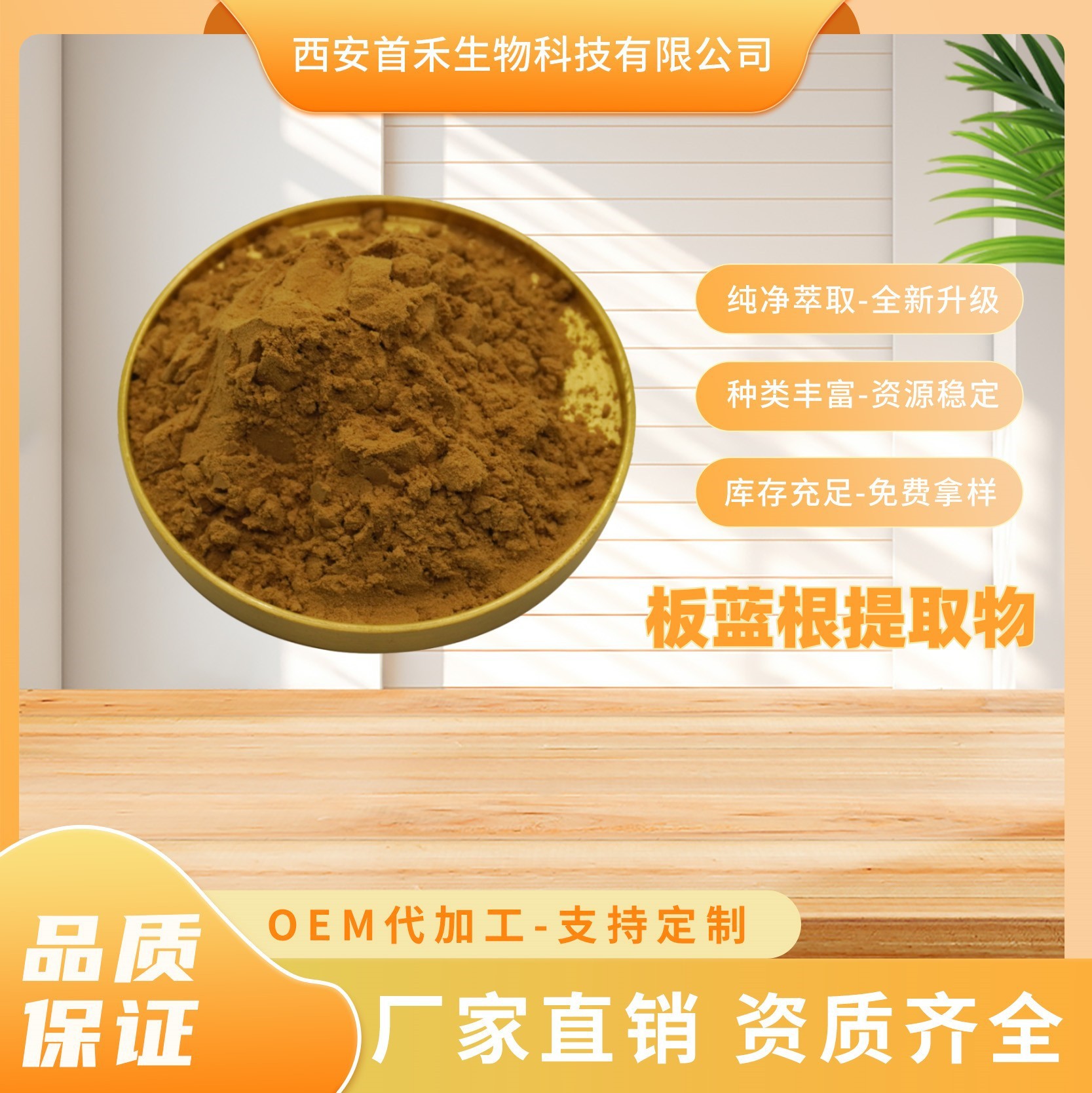 板蓝根提取物10:1水溶性板蓝根浓缩粉草大青提取物欧洲菘蓝提取物