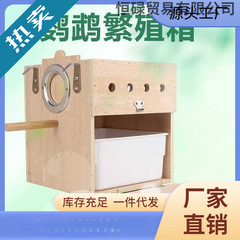 鹦鹉繁殖箱玄凤虎皮牡丹文鸟类用品竖式鸟挂窝巢孵化保温窝内挂置