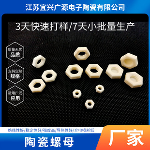 Ceramic Nuts Jiangsu Alumina Ceramics Industrial Ceramics Precision Parts Ceramics with Complete Processing Specifications