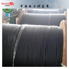 ADSS| ܿչ| PEͨŽ 110kvԳʽwATo