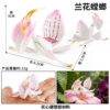 M-2962 orchid praying mantis