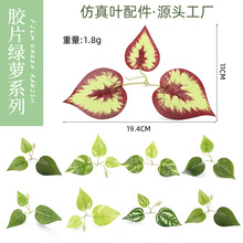 ����ֲ���zƬ�G�}�҃ȼҾ��b[��������G�}�zӰ���ֵ������l