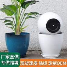 北欧仿陶瓷抛釉花盆家用轻奢高级感白色花盆蝴蝶兰专用大号虎皮兰