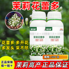 茉莉花肥料花蕾多开花多发头多催花保花叶面肥 广西横县 基地推荐